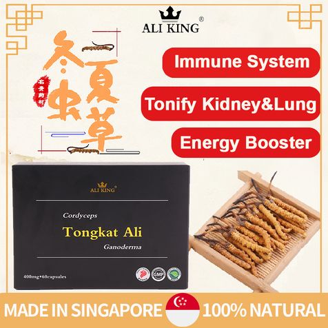 Tongkat Ali Cordyceps Ganoderma